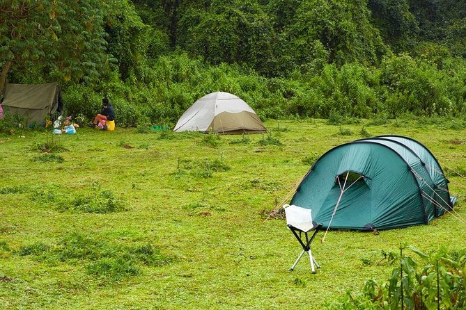 6 Days Bale Mountains Trekking - Day 6: A short transfer back to Addis Ababa