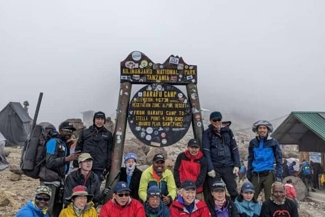 6 Days Machame Route Kilimanjaro Climbing Trekking Tour - Day 3: Lava Tower and the descent to Barranco