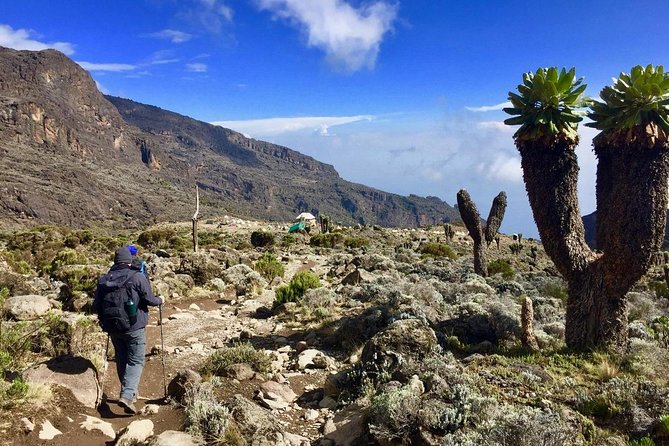 6 Days Machame Route Kilimanjaro Trekking - Day one: Machame Gate to rainforest camp