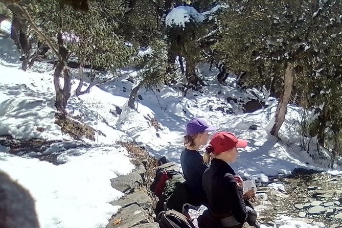 6 Days Poon Hill - Ghandruk Circuit Trek from Kathmandu - Why This Route Works So Well