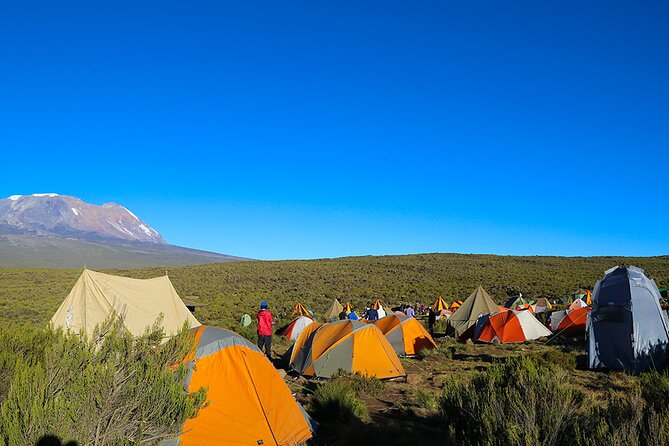6 Days Trekking Marangu Route Mount Kilimanjaro - Day 1: Marangu Gate to Mandara Hut through rainforest
