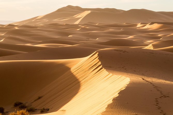 6 days trekking To The heart of Desert - Day 4: tamarisk country and the Draa Valley