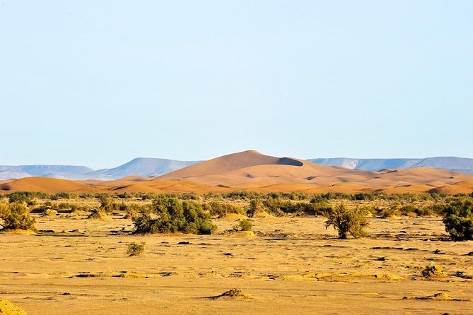 6 days trekking To The heart of Desert - Day 5: the return walk and a proper shower