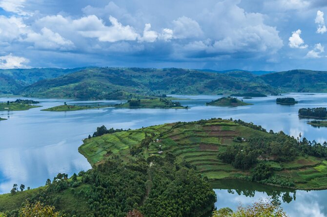 6 Days Uganda Gorilla, Chimps Trekking and Wildlife Safari - Day 1: A gentle start in Entebbe