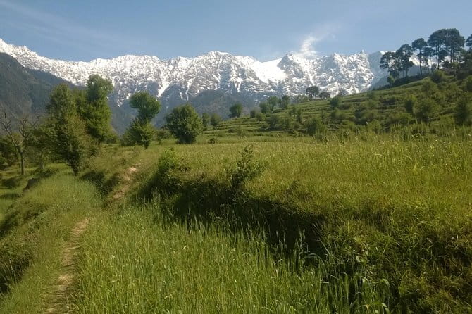 7 Days Dharamsala - Dalai Lama home Trek - Day 1: Dharamsala, the Dalai Lama’s temple, and a gentle start