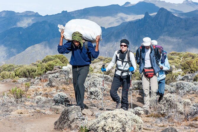 7 Days Kilimanjaro trek via Machame route - Day four: the Barranco Wall and Karanga Valley