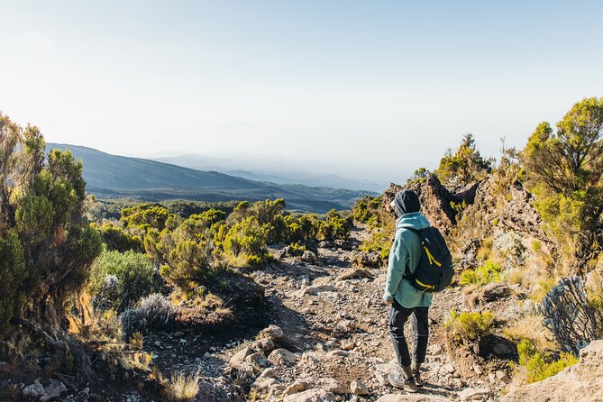 7 Days Kilimanjaro trek via Machame route - Day five: alpine desert and Barafu Camp