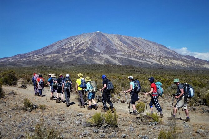 7 Days Kilimanjaro Trekking Machame Route with Professional Guide - Day 6: Barafu Camp and preparation for summit night