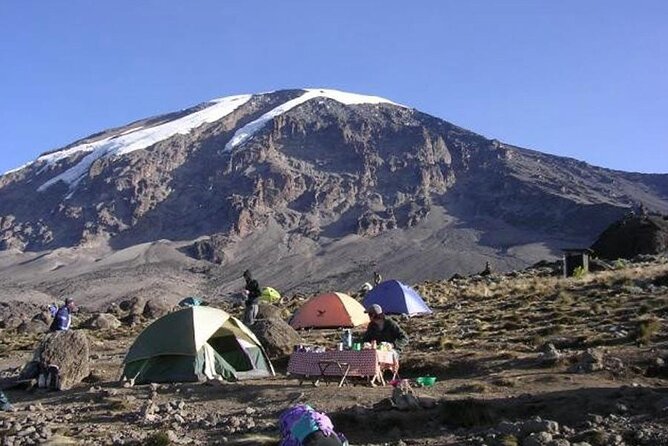 7 Days Kilimanjaro Trekking Machame Route with Professional Guide - Day 7: Stella Point, Uhuru Peak, and the longest day