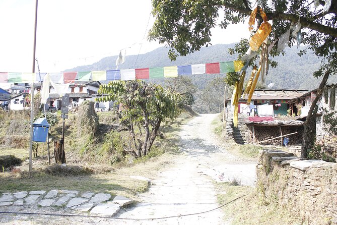 7 Days Langtang Valley Trek from Kathmandu - Day 7: Returning to Kathmandu