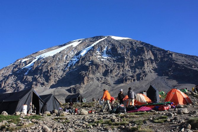 7 Days Machame Route Kilimanjaro Trekking - Key points at a glance