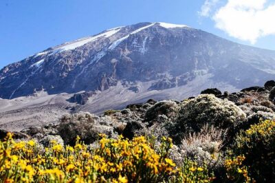 7 Days Machame Route Trek Mount Kilimanjaro