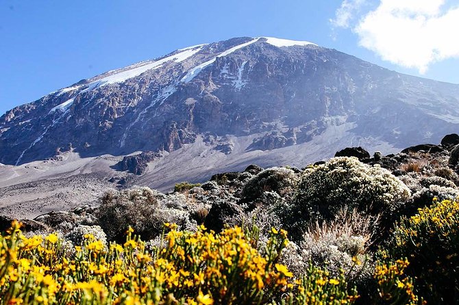 7 Days Machame Route Trek Mount Kilimanjaro - Day two: leaving the forest for Shira Camp