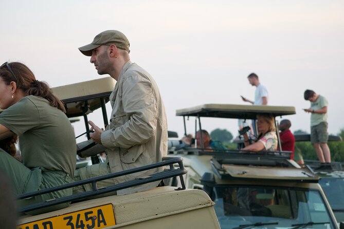 7 Days Safari and Rhino Trekking - Day 4: Five hours tracking chimpanzees