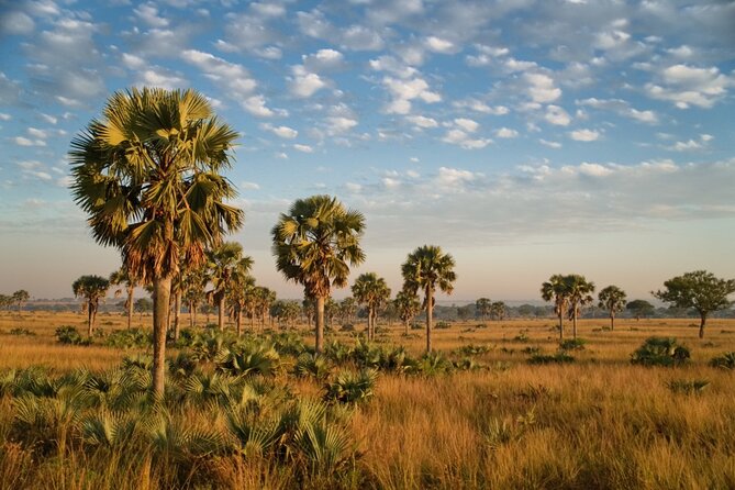 7 Days Safari and Rhino Trekking - Day 1: The road to Queen Elizabeth National Park