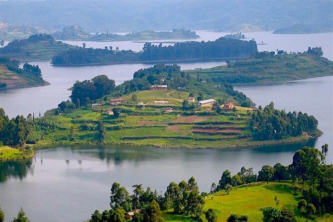 8-Day Murchison Falls, Chimp and Epic Gorilla Trekking - Lake Mburo, horse riding, and the return to Entebbe