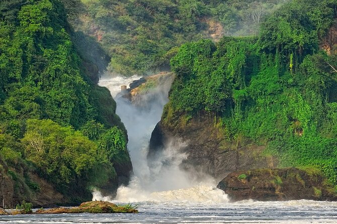 8-Day Murchison Falls, Chimp and Epic Gorilla Trekking - Murchison game drive and the Nile boat to the falls