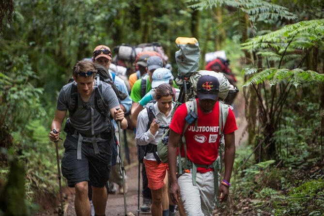 8-Day Small-group Lemosho Kilimanjaro Summit Trekking - Day 7: Stella Point, Uhuru Peak, and Mweka Camp
