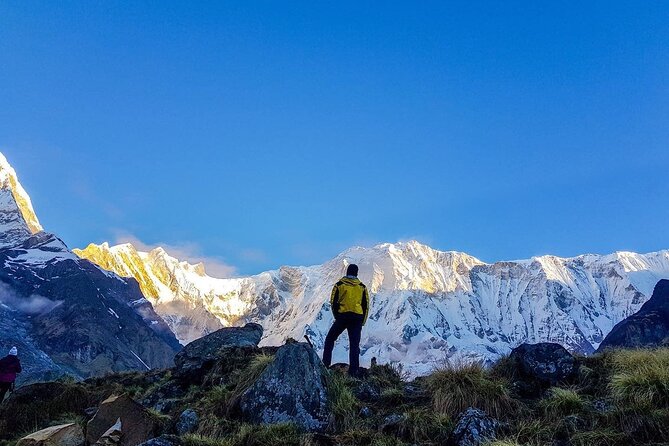 8 Days Annapurna Base Camp Budget Trek from Kathmandu - Day 5: Sunrise at base camp and the long descent to Bamboo