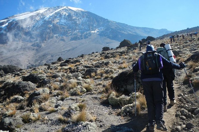 8 Days Lemosho Route Kilimanjaro Trekking - Why the Lemosho Route is worth your time