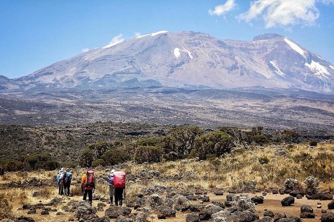 8 Days Lemosho Route Kilimanjaro Trekking - What the $2,700.52 price covers