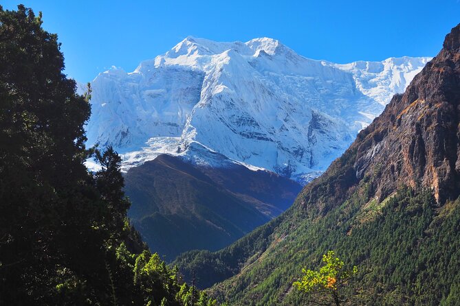 8 Days Private Guided Trekking in Annapurna Circuit with Pickup - Day four: a useful rest day in Manang