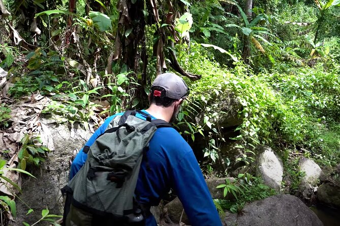 8KM White Water Rafting and 3HRS Jungle Trekking Adventure - Why this Chiang Mai adventure works so well
