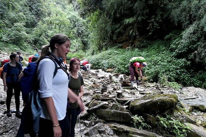 9 Days short and Easy Ghorepani Poonhill Trekking in Nepal - Day 4: Ulleri’s stone steps and arrival at Ghorepani