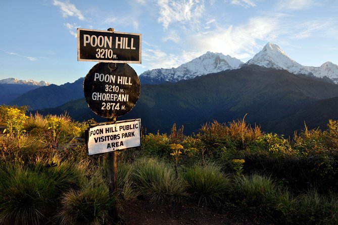 9 Days short and Easy Ghorepani Poonhill Trekking in Nepal - Day 6: Tadapani to Ghandruk and a Gurung village evening