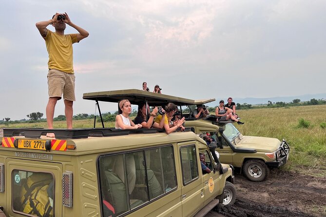 9 Days Uganda Wildlife Safaris, Gorilla Trekking & Hiking - Day 5: Chimpanzees at Kibale, then toward Queen Elizabeth
