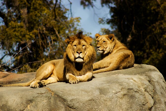 9 Days Uganda Wildlife Safaris, Gorilla Trekking & Hiking - Day 7: The itinerary needs a route check