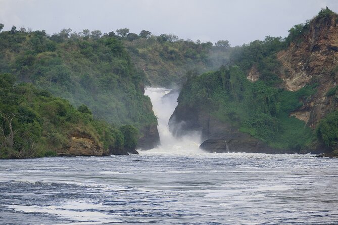 9 Days Uganda Wildlife Safaris, Gorilla Trekking & Hiking - Day 8: The main event, gorilla trekking in Bwindi
