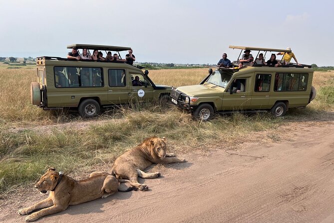 9 Days Uganda Wildlife Safaris, Gorilla Trekking & Hiking - Day 3: Game drive and the Nile below Murchison Falls