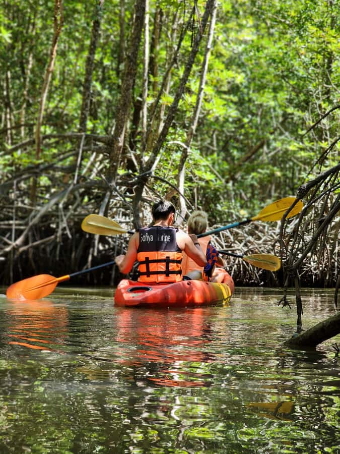 A Jungle-to-Sea Kayaking & Trekking Adventure in Phuket - Paddling through Bang Rong’s mangrove channels