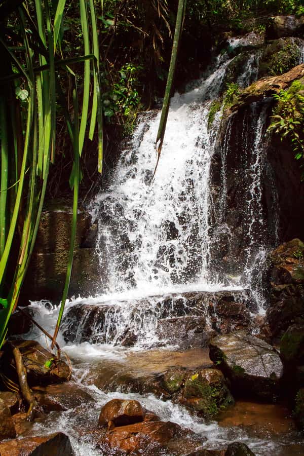 A Jungle-to-Sea Kayaking & Trekking Adventure in Phuket - Who should book this nature day