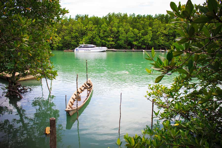 A Jungle-to-Sea Kayaking & Trekking Adventure in Phuket - Weather, timing, and useful planning tips