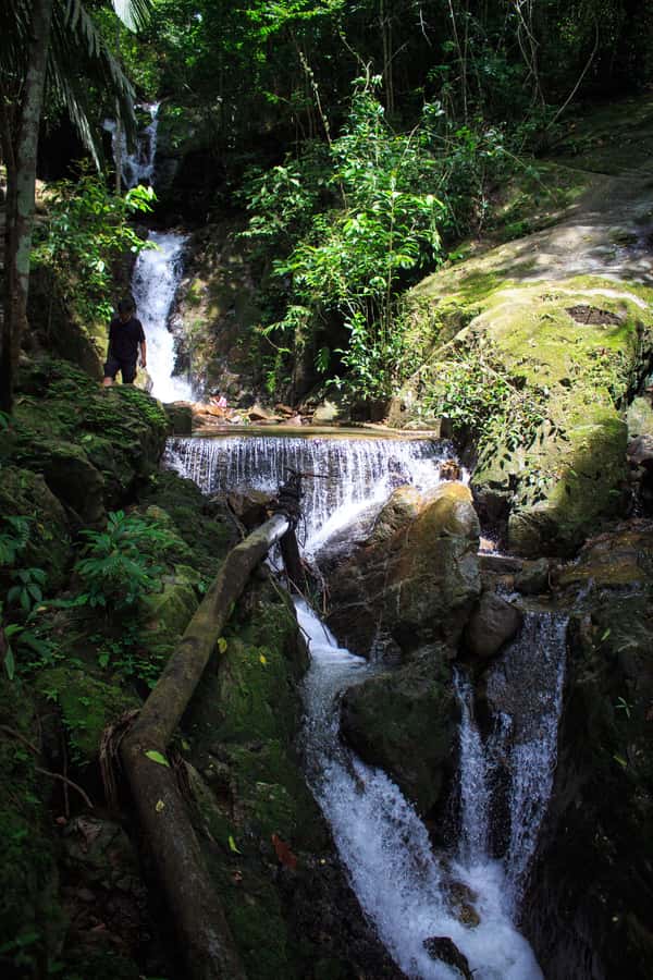 A Jungle-to-Sea Kayaking & Trekking Adventure in Phuket - The morning ride from Karon to Bang Rong