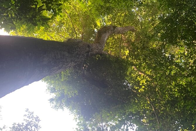 Abandoned Valley , Golden Cave and E Cave 1 Day Trek - Time at E Cave from 1:30 to 2:30