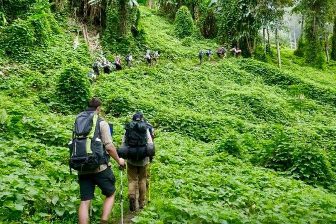 ADVENTURE KOKODA 10-Day Premium Kokoda Campaign Trek Australian Led - Days 9 and 10: Vabula Ridge and the Isurava Dawn Service