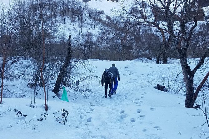 Adventurous Annapurna Base Camp Trekking - Days 4 and 5: Ulleri stairs, forest, and Ghorepani
