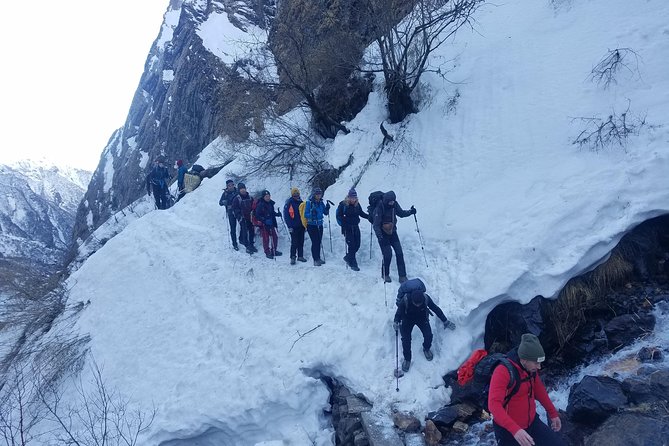 Adventurous Annapurna Base Camp Trekking - Days 8 and 9: Modi Khola, Bamboo, and Annapurna Base Camp