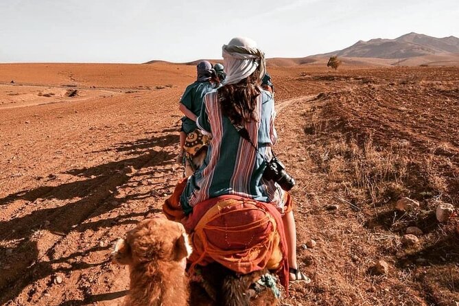 Agafay Desert-And Atlas Mountains & Camel-Trek-Day Trip From Marrakech - Key points at a glance