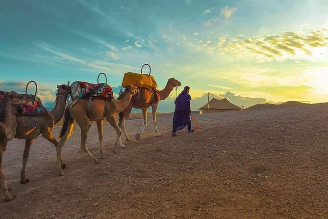 Agafay Desert-And Atlas Mountains & Camel-Trek-Day Trip From Marrakech - Why this day trip works for first-time visitors