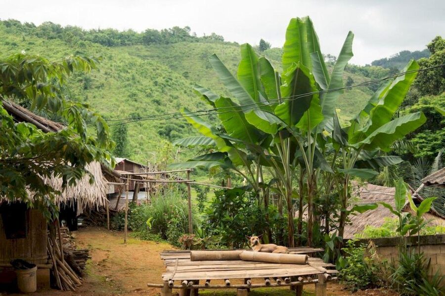 Akha & Lahu village trekking 1 day - Who should book this day