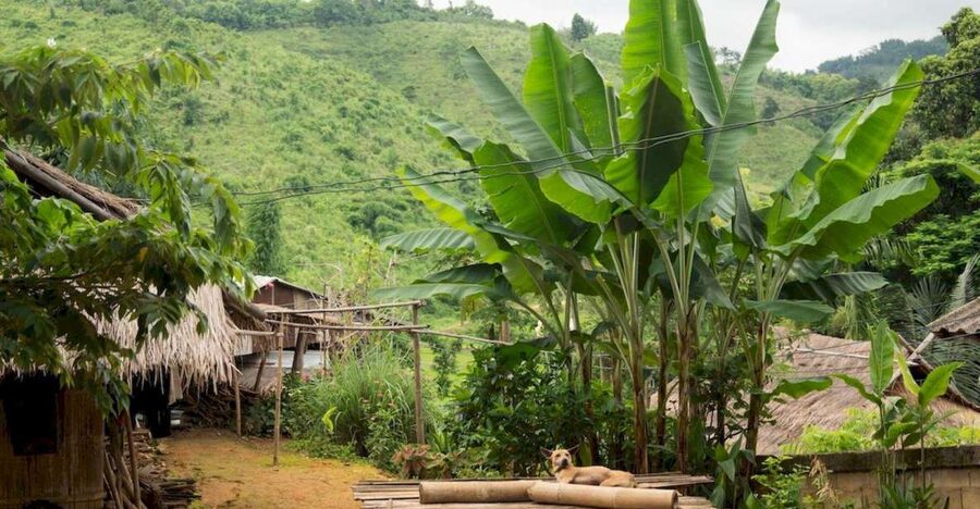 Akha & Lahu village trekking 1 day - Meeting the Akha community near Chiang Rai
