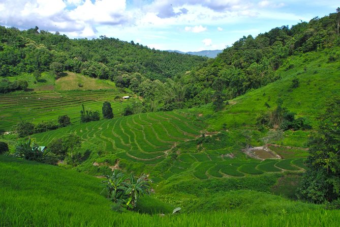 Akha private eco-trekking 2 days 1 night Chiang Rai - A 2 to 3-hour walk through jungle and herbs