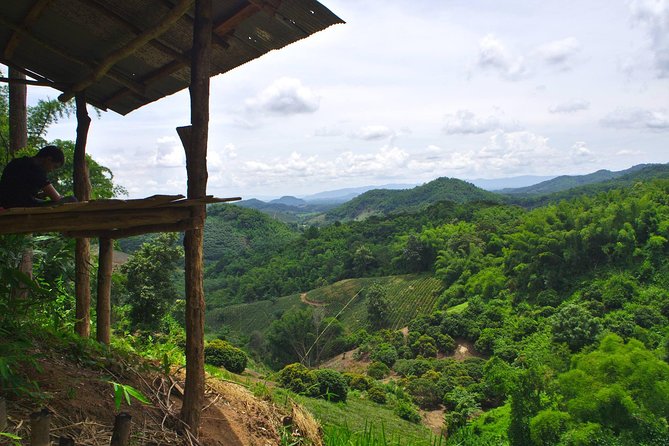 Akha private eco-trekking 2 days 1 night Chiang Rai - Fishing, cooking, and mountain life on day two