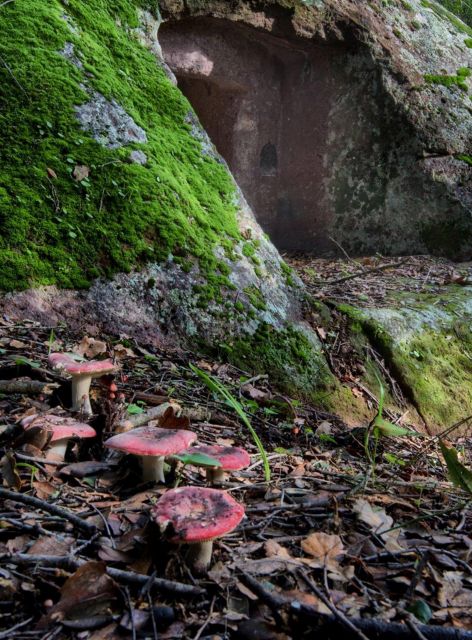 Alghero: trekking in the Porto Conte park - Should you book Punta Giglio?