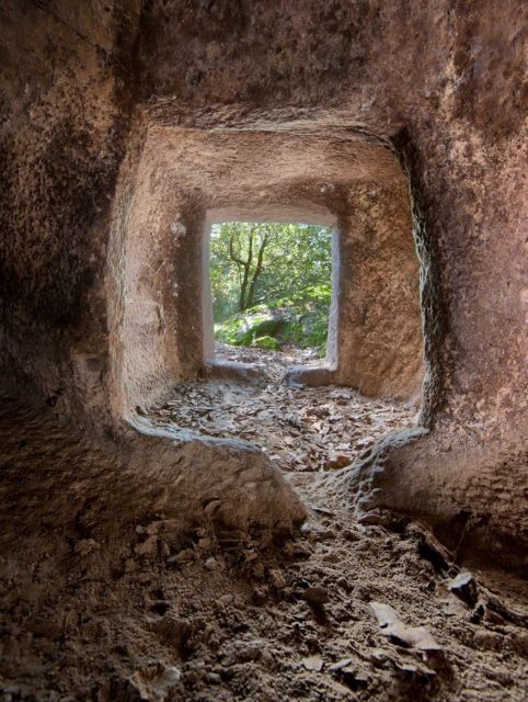 Alghero: trekking in the Porto Conte park - Who will enjoy this half-day hike
