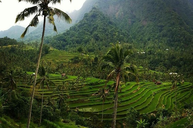 All inclusive Bali Sekumpul Waterfalls Trekking Tour - Walking into Sekumpul Waterfall